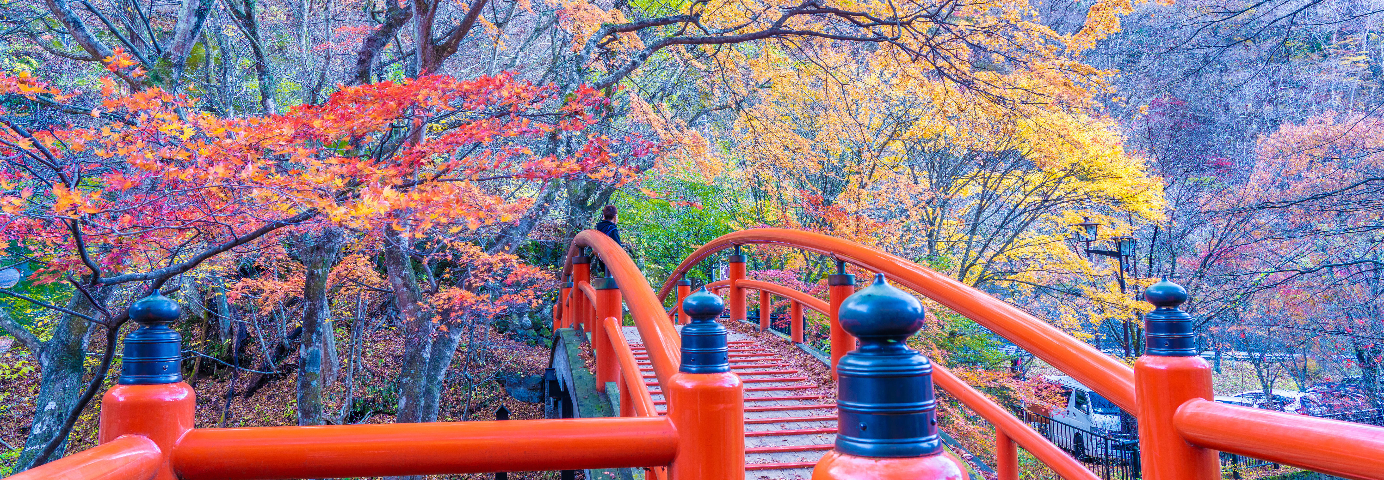 群馬県イメージ画像紅葉